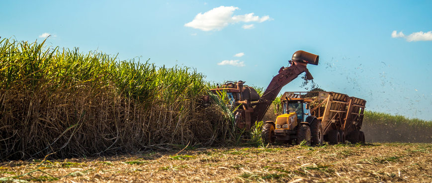 os-8-principais-produtos-agricolas-no-brasil.jpeg