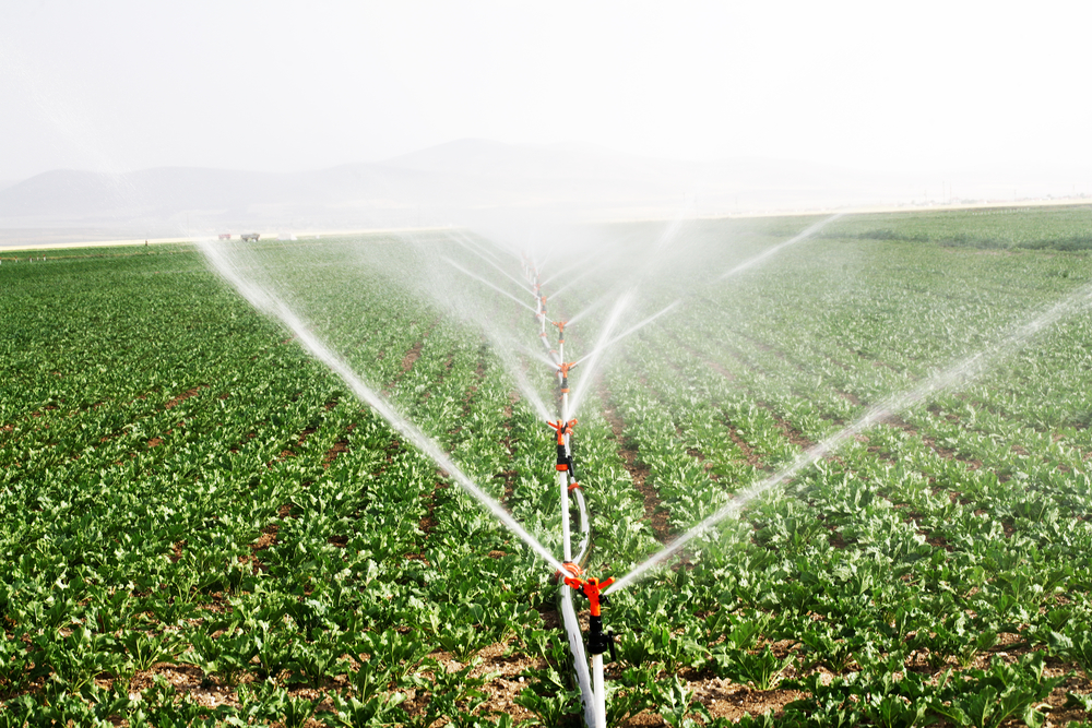 Texto A Importancia Da Agua Em Nossas Vidas