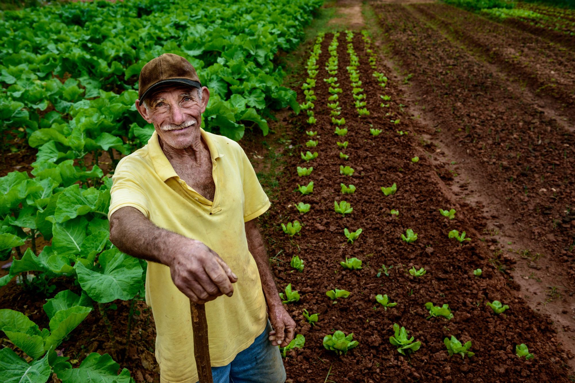 equilíbrio nutricional