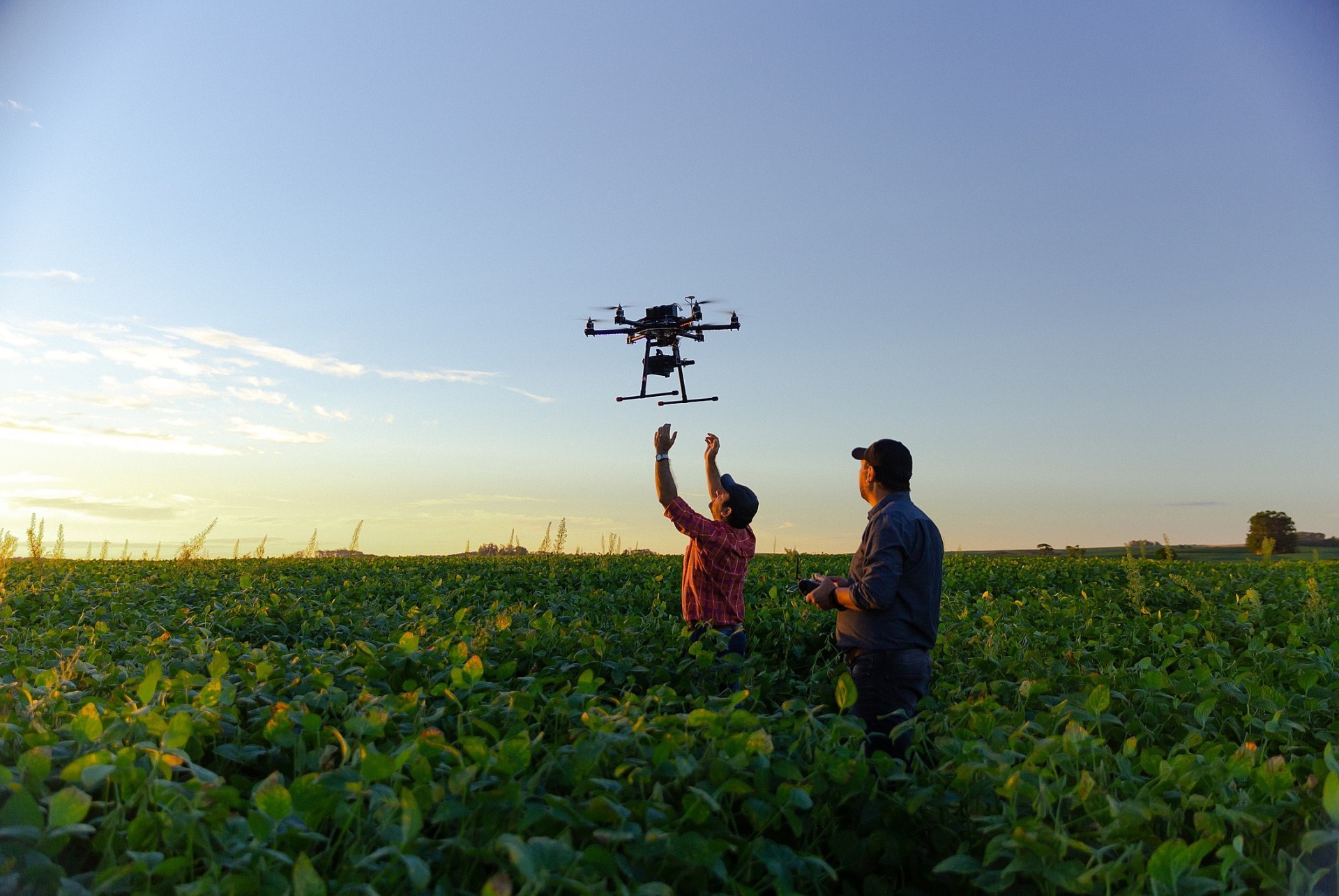 tecnologia na agricultura